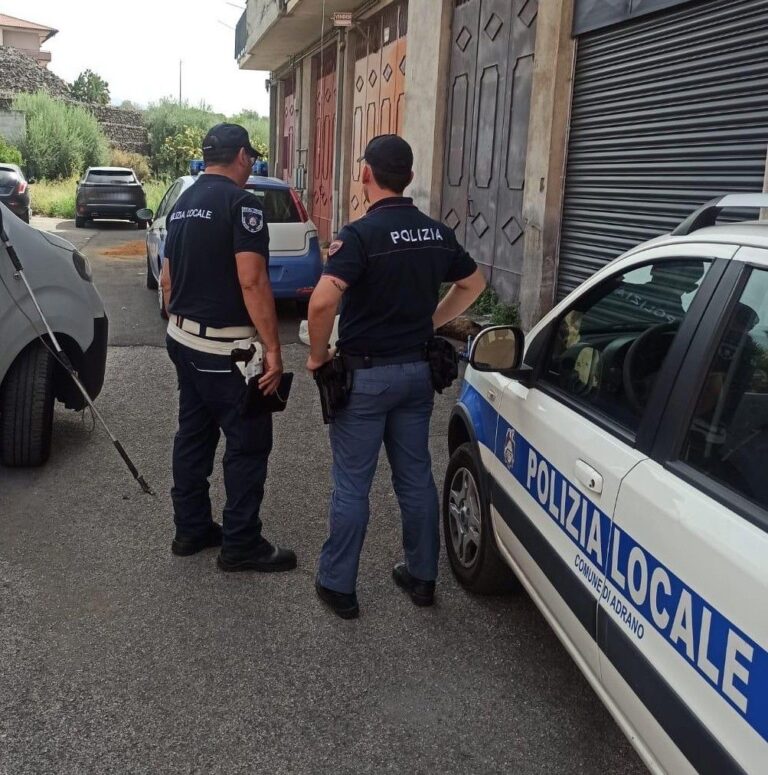 Cani uccisi e torturati nel Catanese, denunciato un 47enne