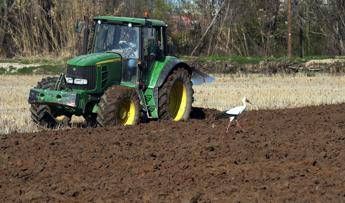 Caro carburanti ed energia, Filiera Italia lancia l’allarme: “Agricoltori schiacciati tra alti costi di produzione e prezzi bassi”