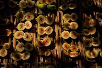 Food: tra agricoltura e cultura torna ‘Ficus in tabula’