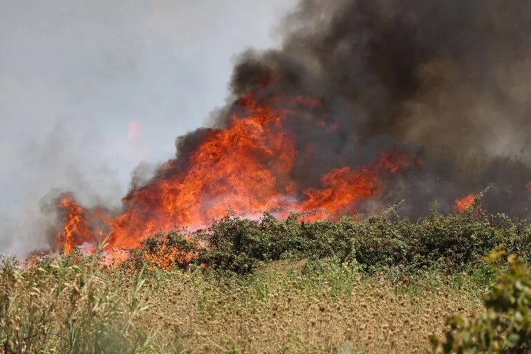 È morto a 26 anni il giovane rimasto ustionato da un incendio divampato nel Palermitano, Schifani: “Nessuna pietà per chi appicca il fuoco”
