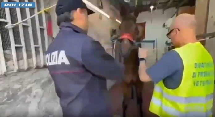 Polizia-2-1