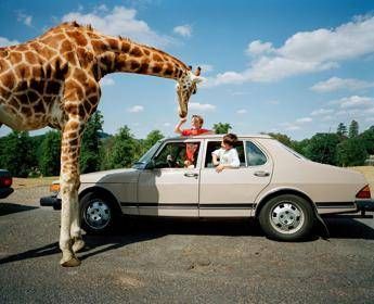 Martin Parr, l’ironia di guardare il mondo