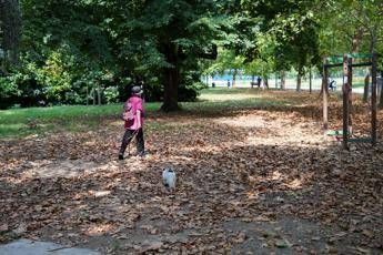 Meteo, torna il sole con l’Anticiclone delle Azzorre ma dura poco: domenica peggiora, le previsioni