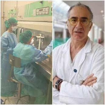 Peste polmonare, Nicastri (Spallanzani): “Non è malattia sconfitta, casi nel mondo ma no allarmismi”